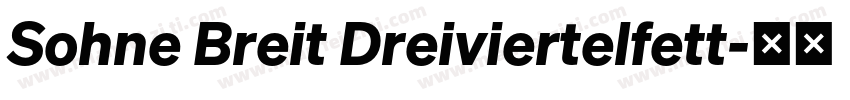 Sohne Breit Dreiviertelfett字体转换